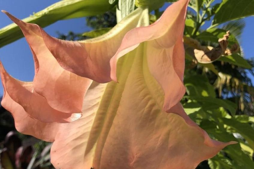 Casa Blumer - Villa mit 1200m2 Garten - foto 23