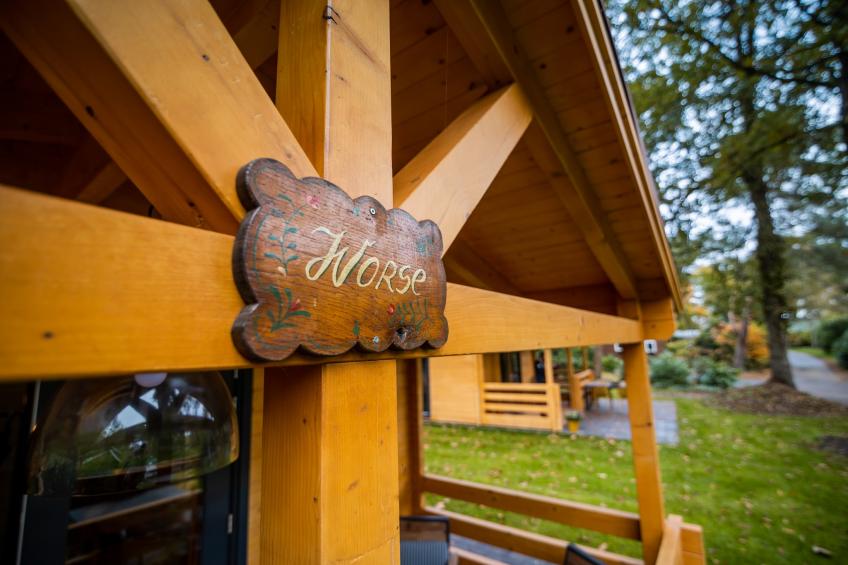 4-persoons wellness lodge - foto 31