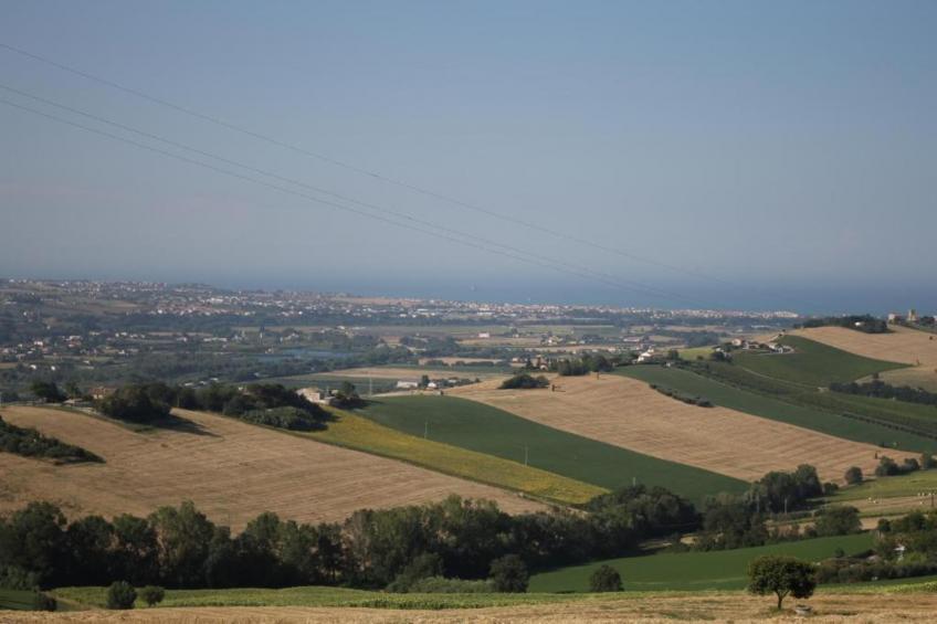 Olio - foto 24