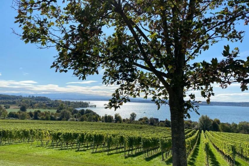 Apfelgarten - foto 37