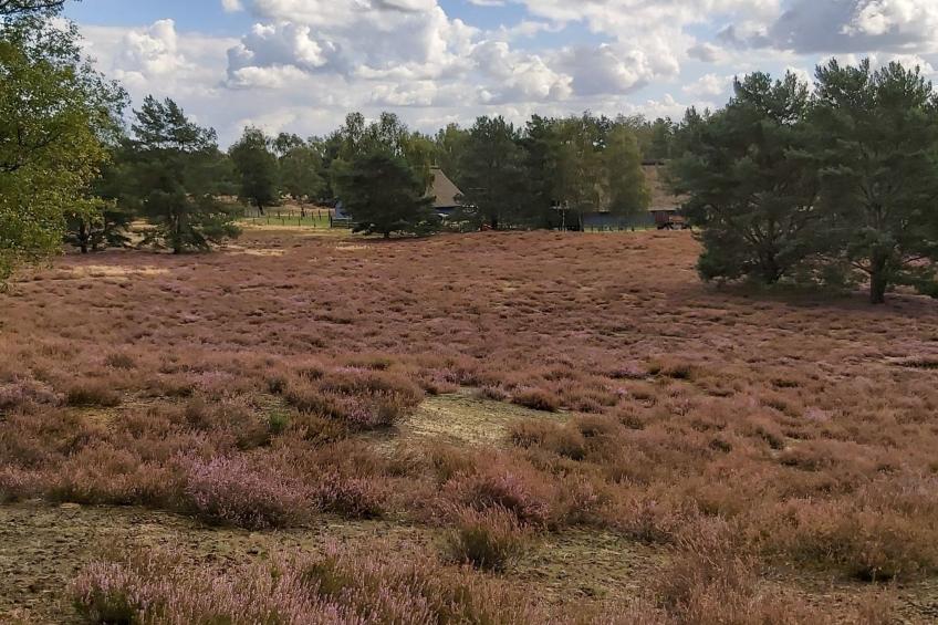 Wohnung in Jameln mit Garten, Grill und Terrasse - foto 35
