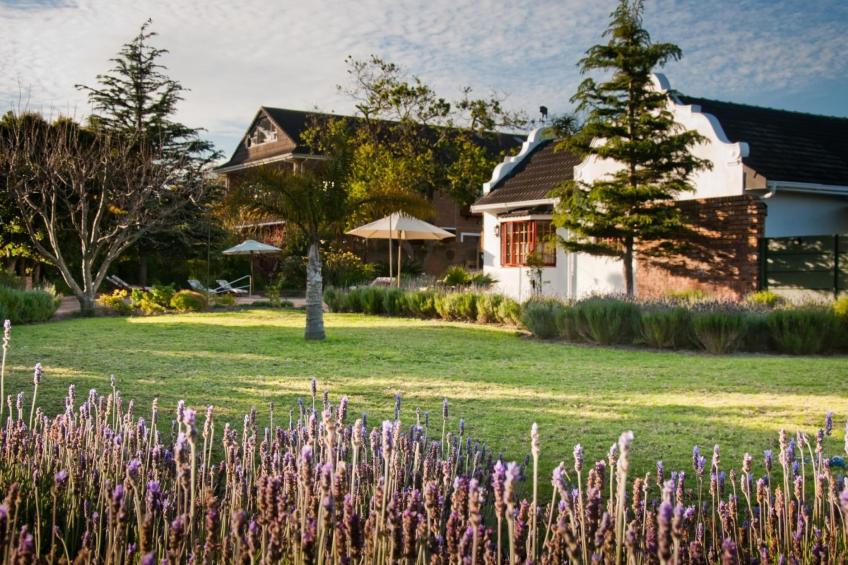 Apartment für zwei Personen mit privater Terrasse - foto 3
