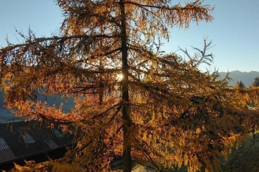 Staudenhof Viamala - foto 20