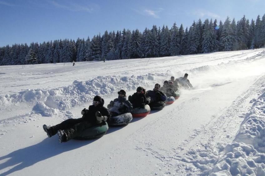 Wiesengrund - foto 16