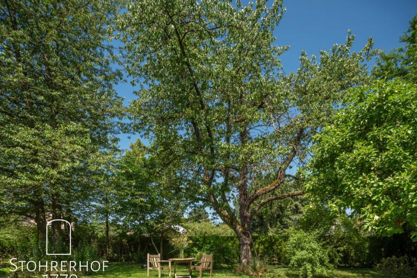 Wunderschönes Ferienhaus mit Kamin in Riederau - foto 36