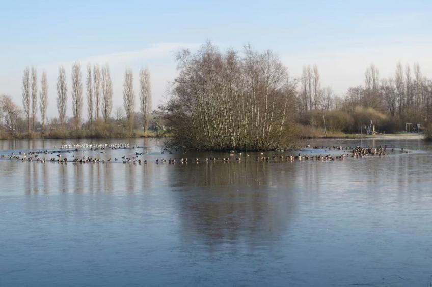 Komfortabler und entspannender Urlaub in Marienhafe - foto 29