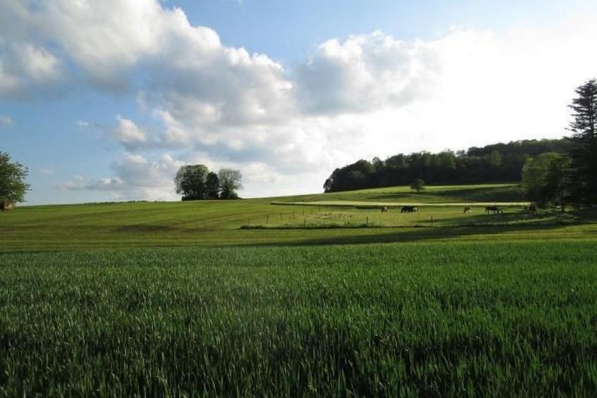 Wunderschönes Ferienhaus in Zainingen - foto 20