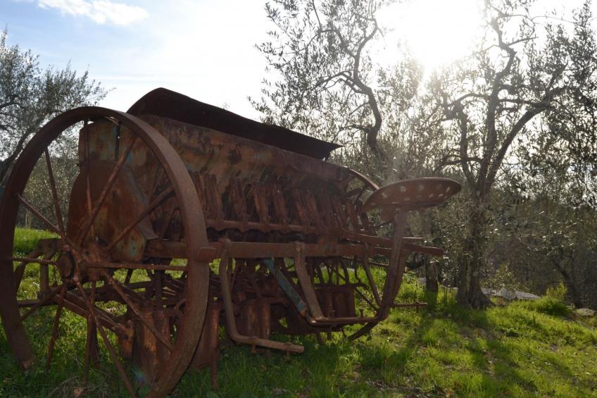 Wohnung Leonardo - foto 20