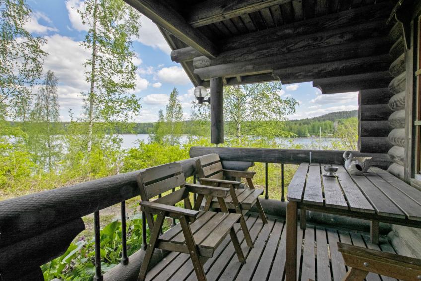 Heinäsorsa - foto 41