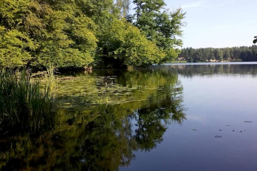 Dom wakacyjny w Krzyni dla max 5 osób - foto 32