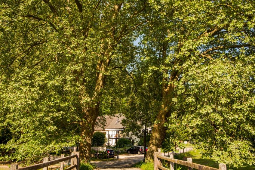 Leben "Im Herzen der Farm" - foto 16