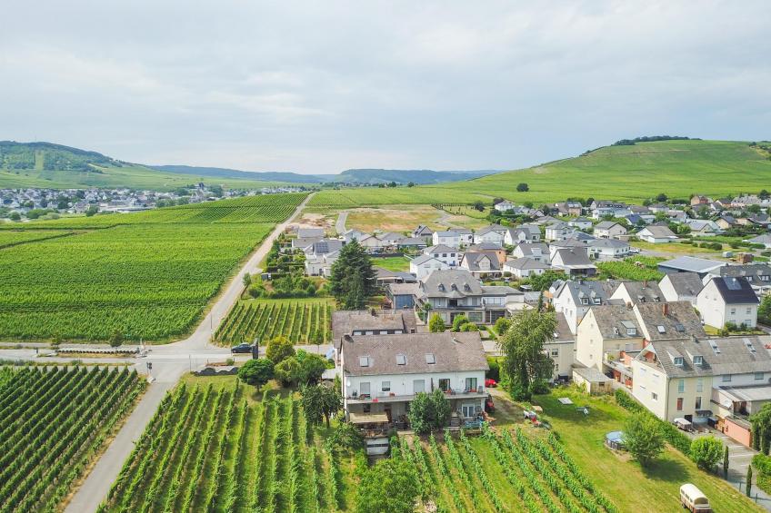 Weingut HermesLex - foto 26