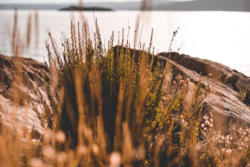 Haus am Meer Šolta - foto 26