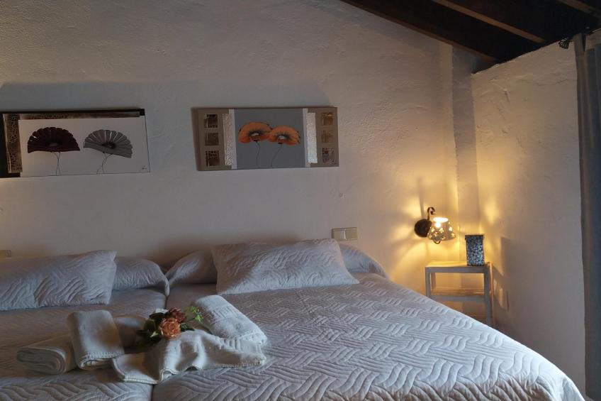 La Casa Vieja - foto 43