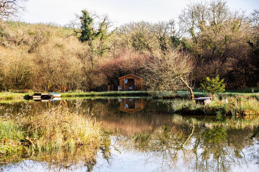 Yeworthy Eco-Treehouse - foto 26