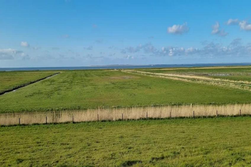 Bungalow Nordseebrise - foto 29