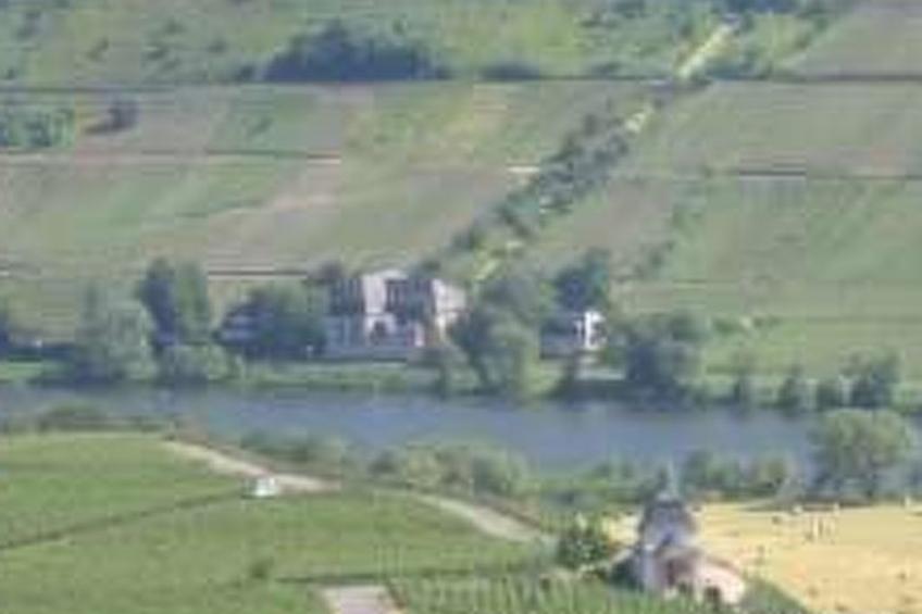 Auszeit Trittenheim - foto 15