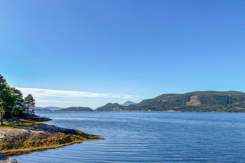 Tingvoll Blockhaus - foto 15