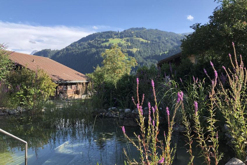 Strubeli Appartement/Fewo, Dusche oder Bad, WC, 2 Schlafräume 4-Bett-Wohnung - foto 9