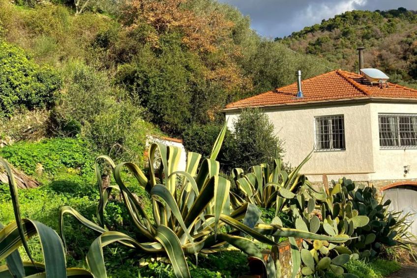 Casa Mediteraneo - foto 4