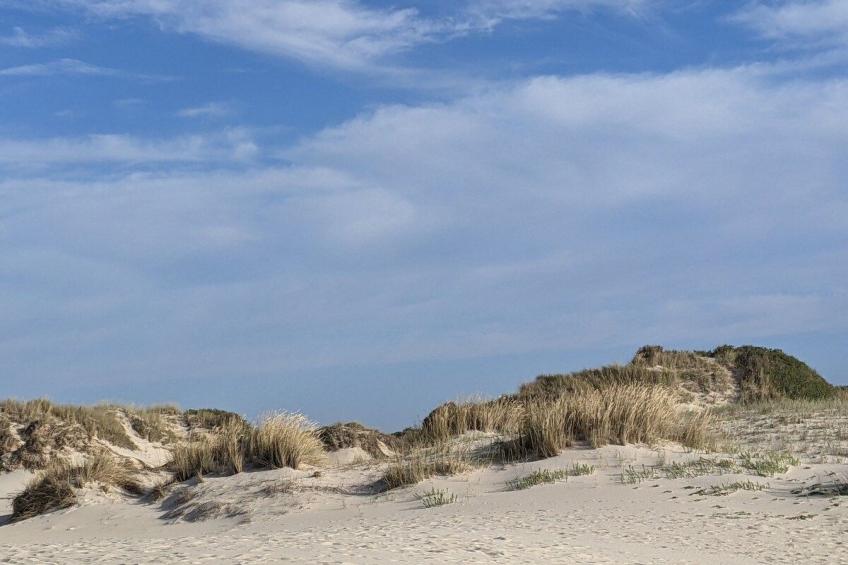 Wohnung mit Balkon, Blick auf die Lagune, Sao Jacinto, Aveiro - foto 17