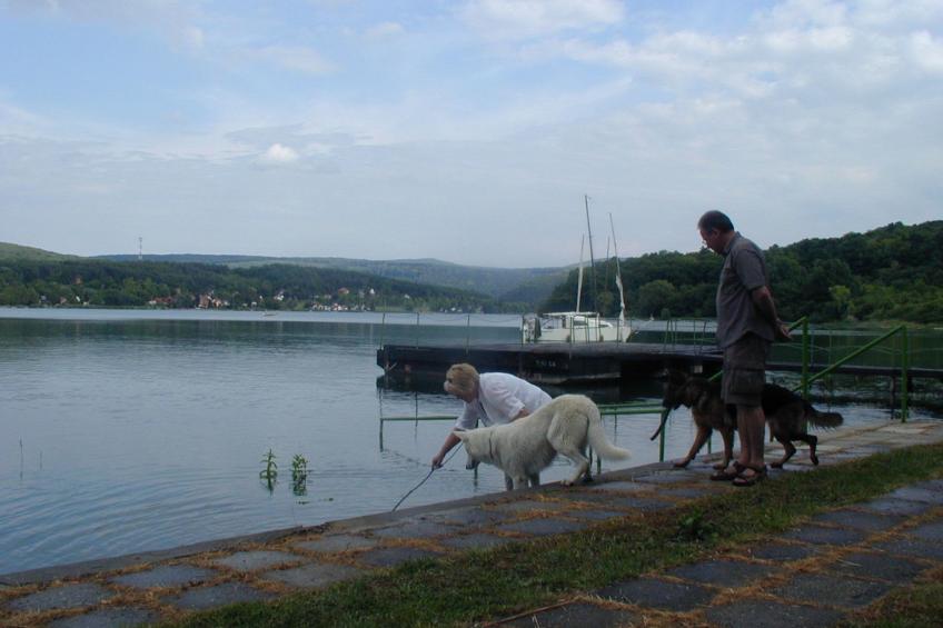 in Döbrököz mit privatem Pool - foto 49