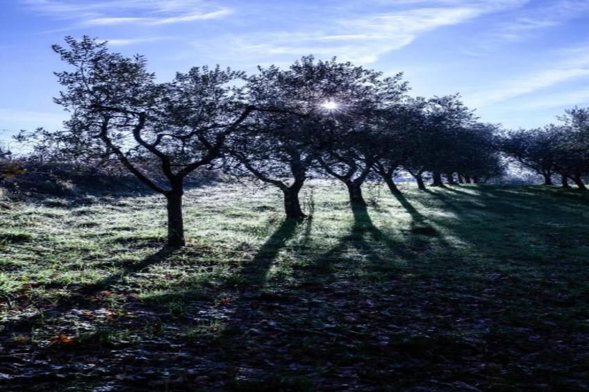 Galleria degli Artisti - foto 22