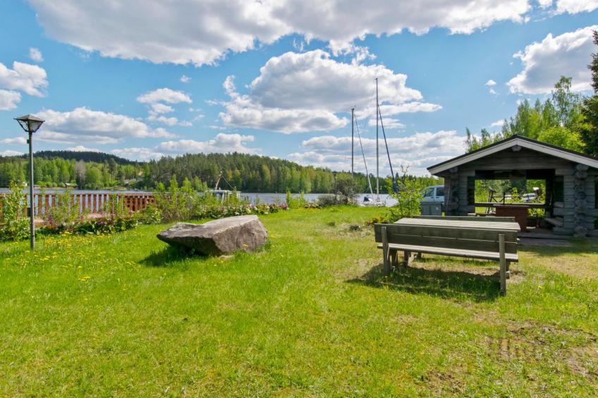 Heinäsorsa - foto 33