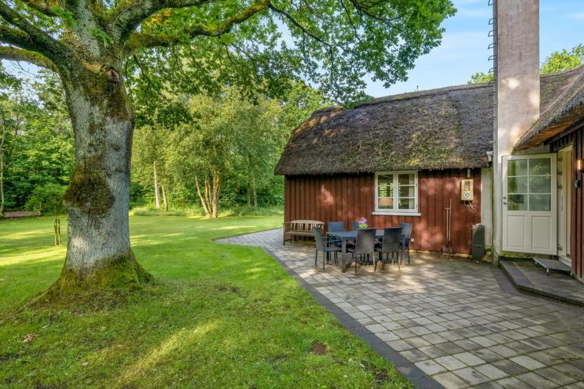 "Fina" - 15km from the sea in Western Jutland - foto 12