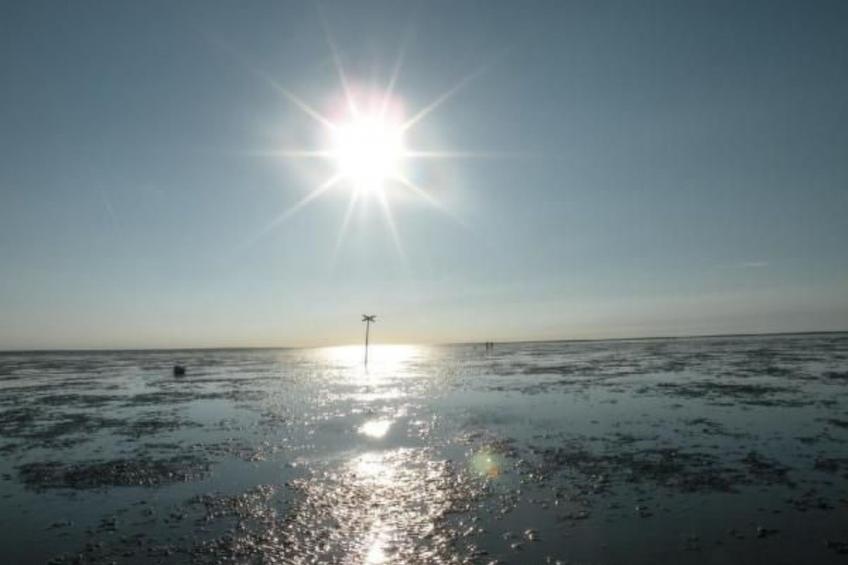 Altes Pastorenhus - foto 34