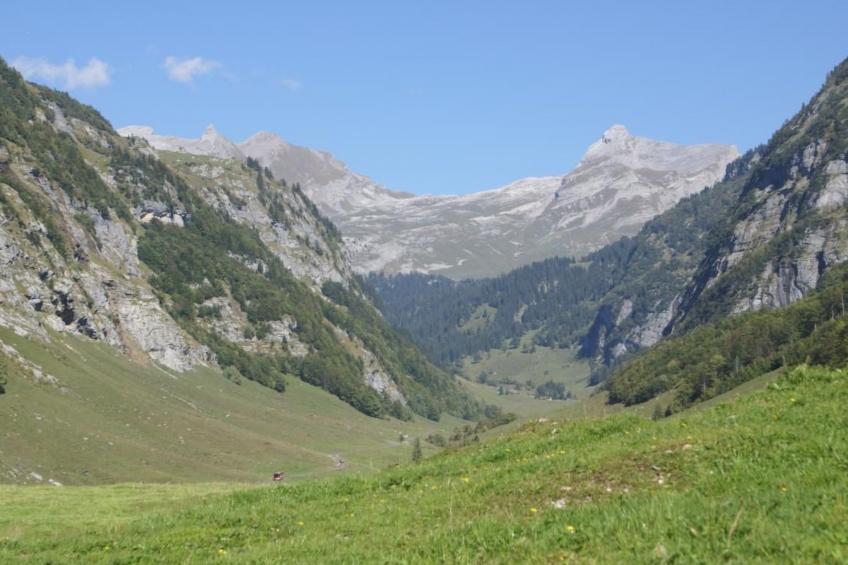 Alphütte Gental - Haslital - foto 25