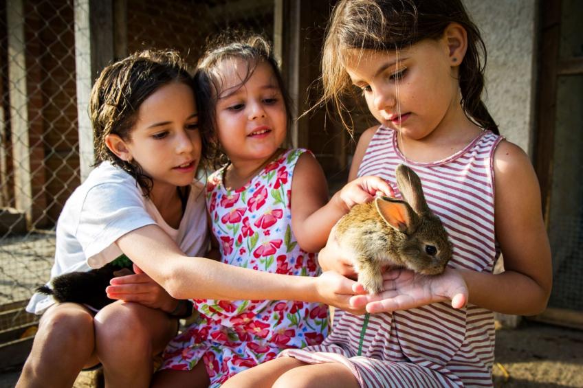 Wohnung "El Corral" mit Terrasse - foto 30