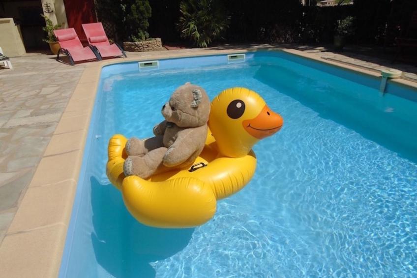 La Soleillade apt mit exklusiver Nutzung des großen Pools - foto 6