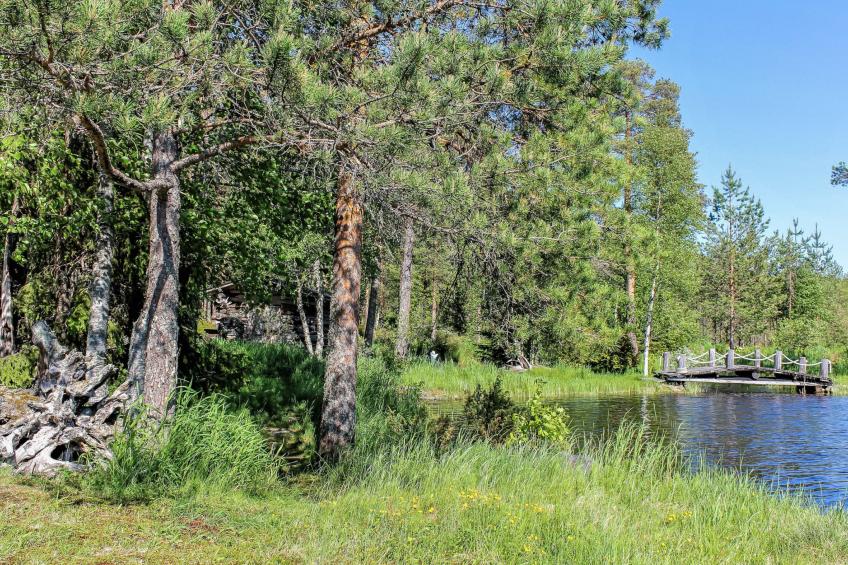 Hamppulahti - foto 19