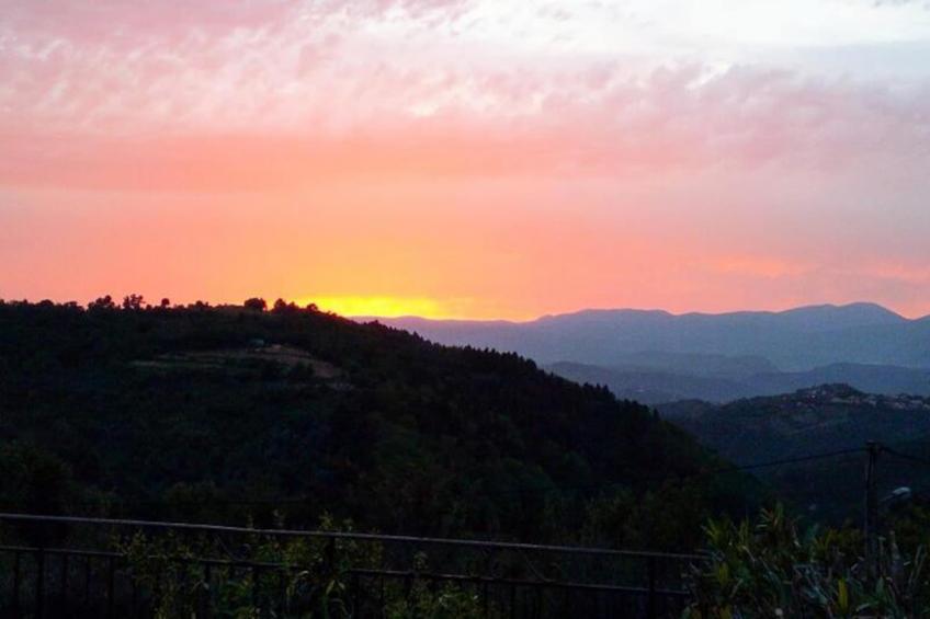 Villa De Campagne - 8 Pers - Vue Sur Les Mimosas - foto 39