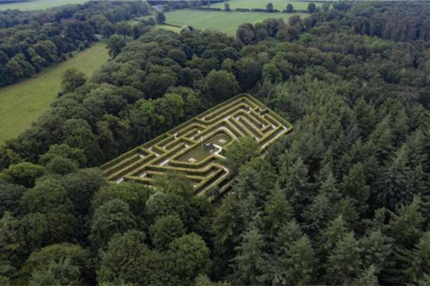 Boszicht 4 personen - foto 26