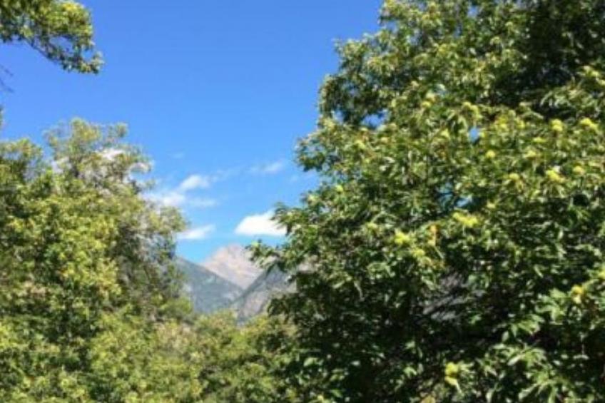 weg von der Zuvielisation - foto 13