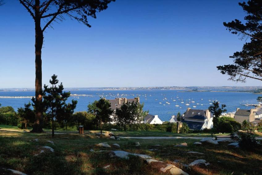 Die Ruhe des Landes am Meer in einer Region mit Gemüseanbau - foto 41