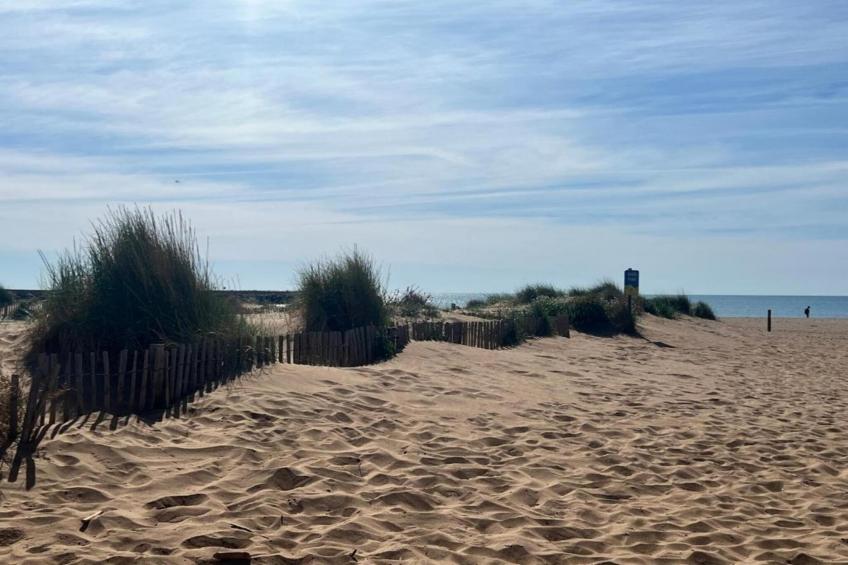 La Dune N°32 - Villa 2P4 - foto 20