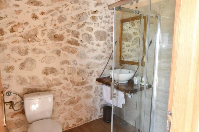 Stone villa Anita with pool - foto 36
