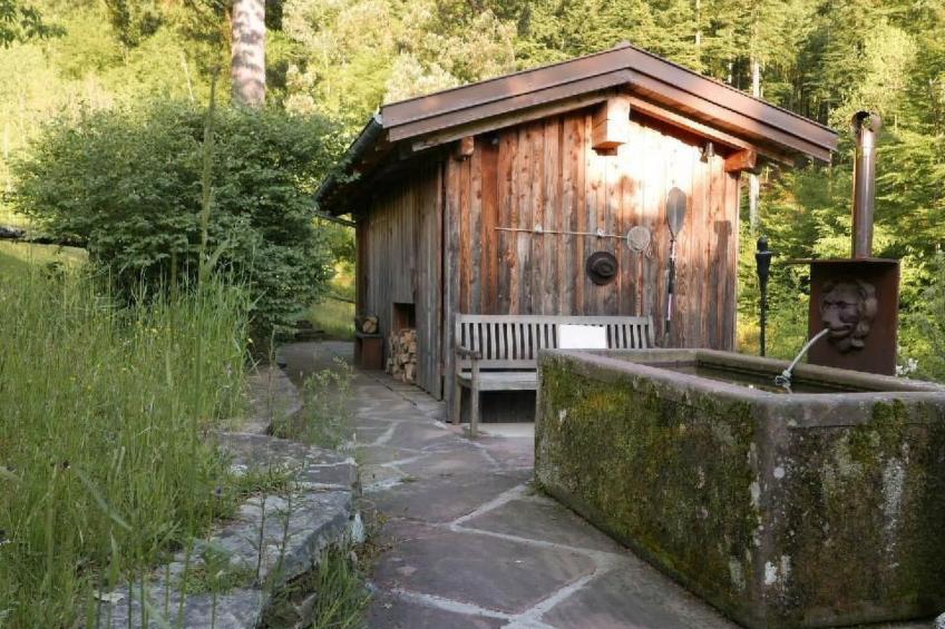 in Walscheid mit Terrasse, Grill - foto 54