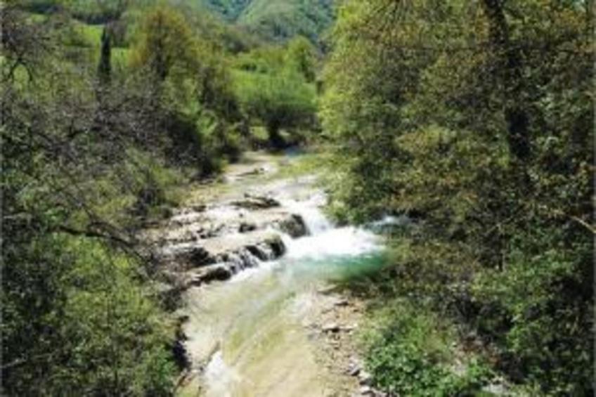 Calfattore Duchessa - foto 23