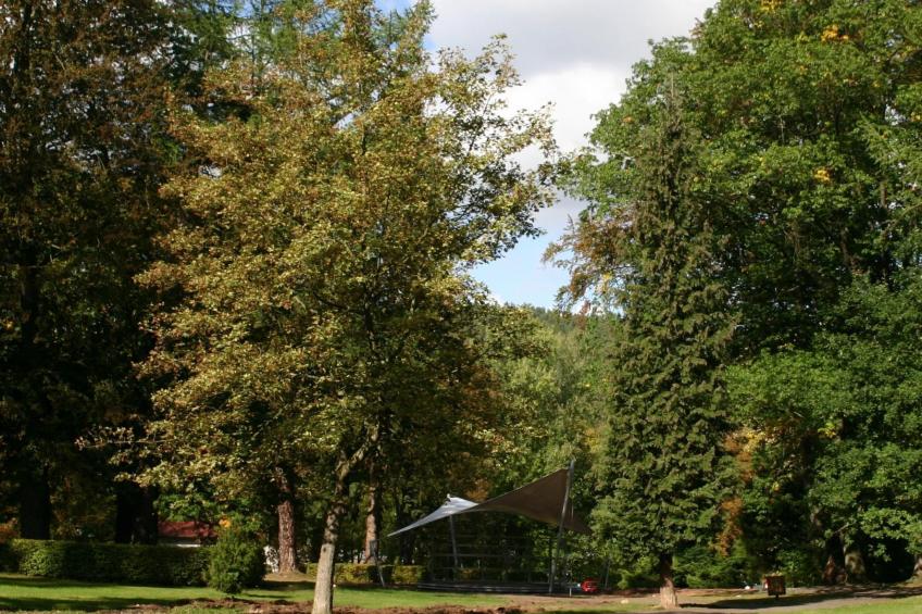 Kleine, gemütliche Ferienwohnung im Erholungsort - foto 12