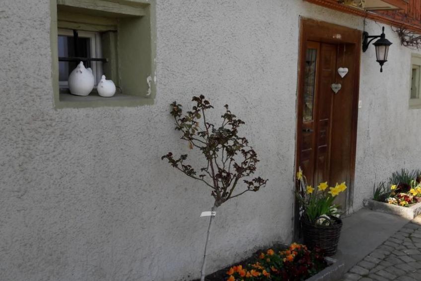 auf dem Bauernhof - foto 23