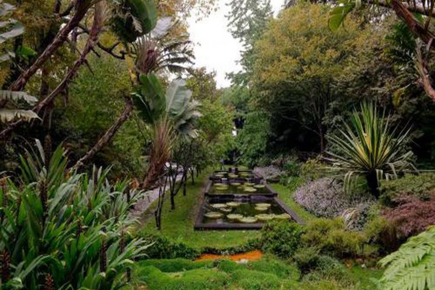 Haus der Stille - foto 37