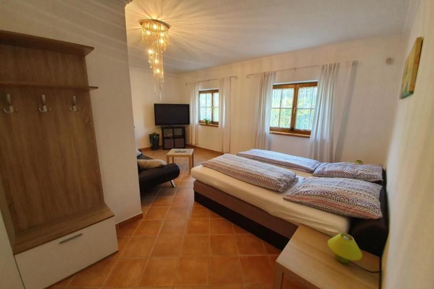 in Lócs mit Privatem Pool - foto 26