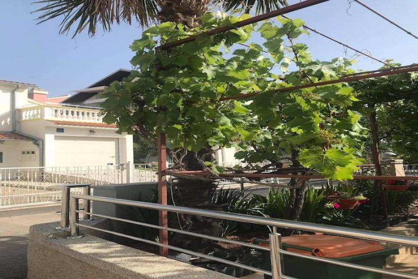 Apartments Villa Tanja - Two Bedroom Apartment with Terrace - foto 10