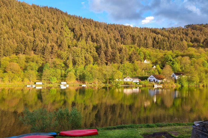 Moselschiefer-Traumferienwohnung am Moselufer - foto 26