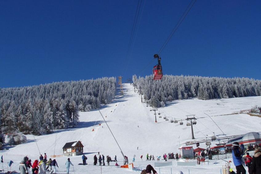 202793 - foto 22