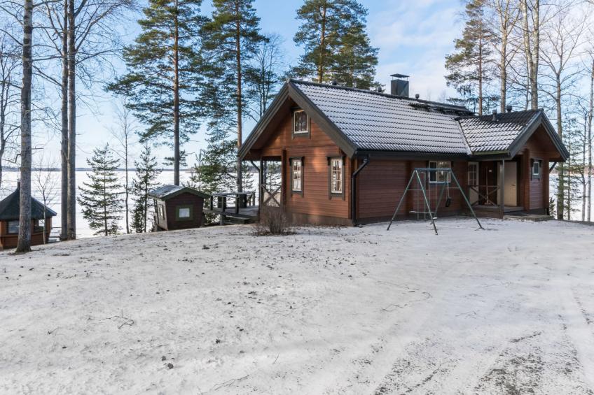 Puolen hehtaarin metsä - foto 7